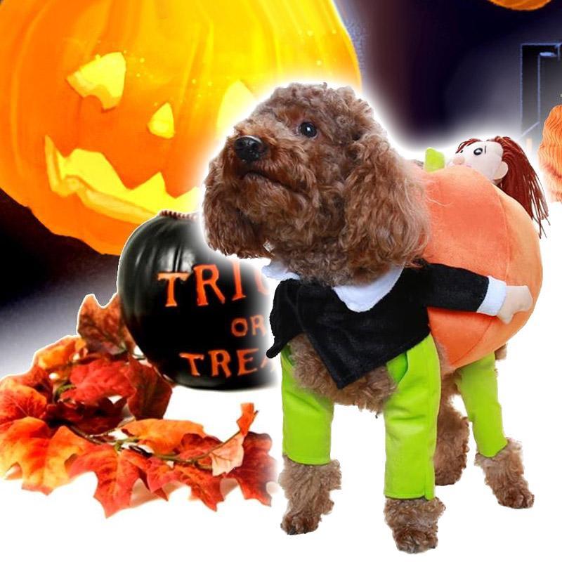 Husdjurs hund Pumpa Halloween -Dräkt