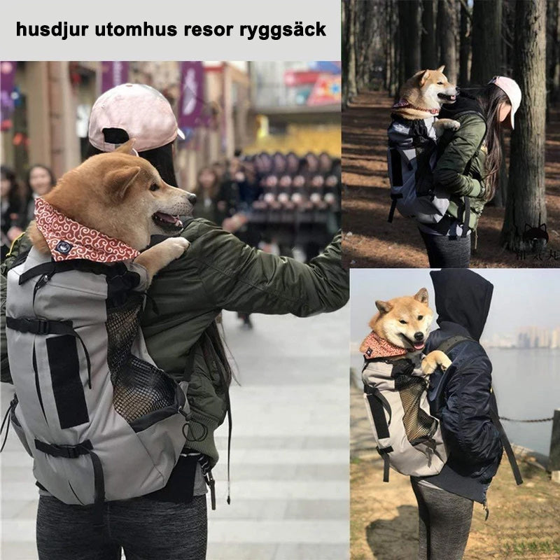 Ryggsäck för hund & Katt