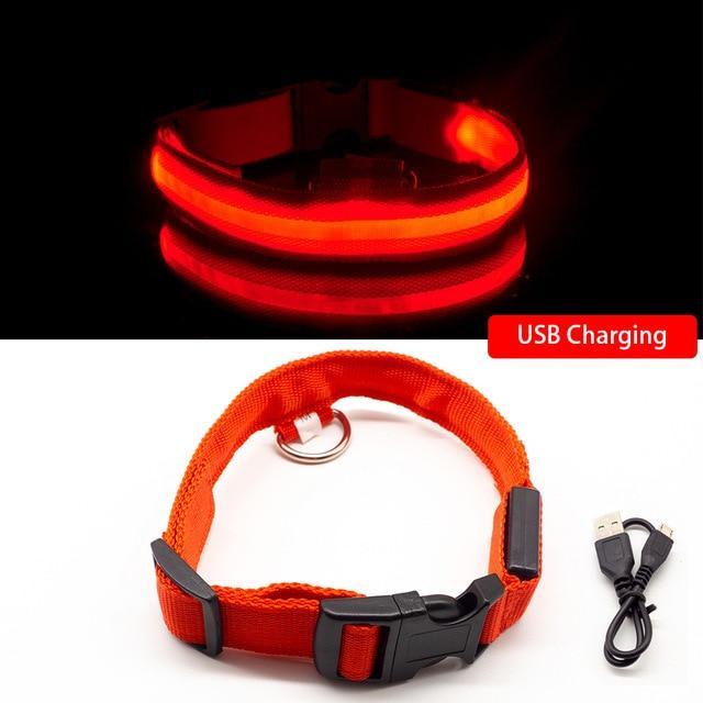 LED Hundhalsband